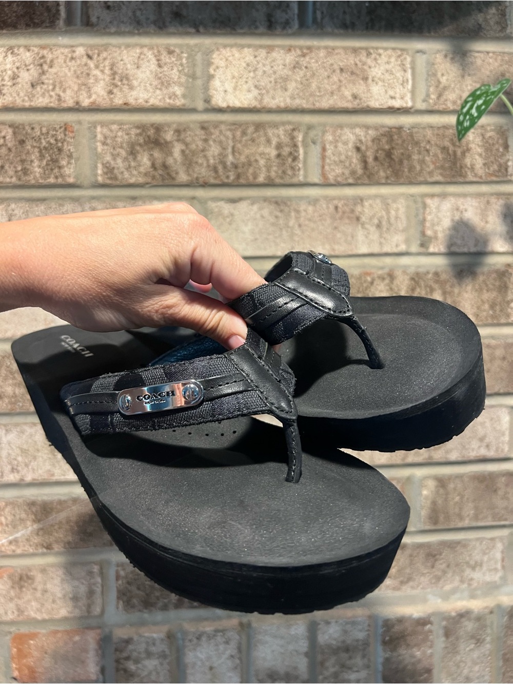 Coach Jaden Platform Thong Sandals - Picture 5 of 12